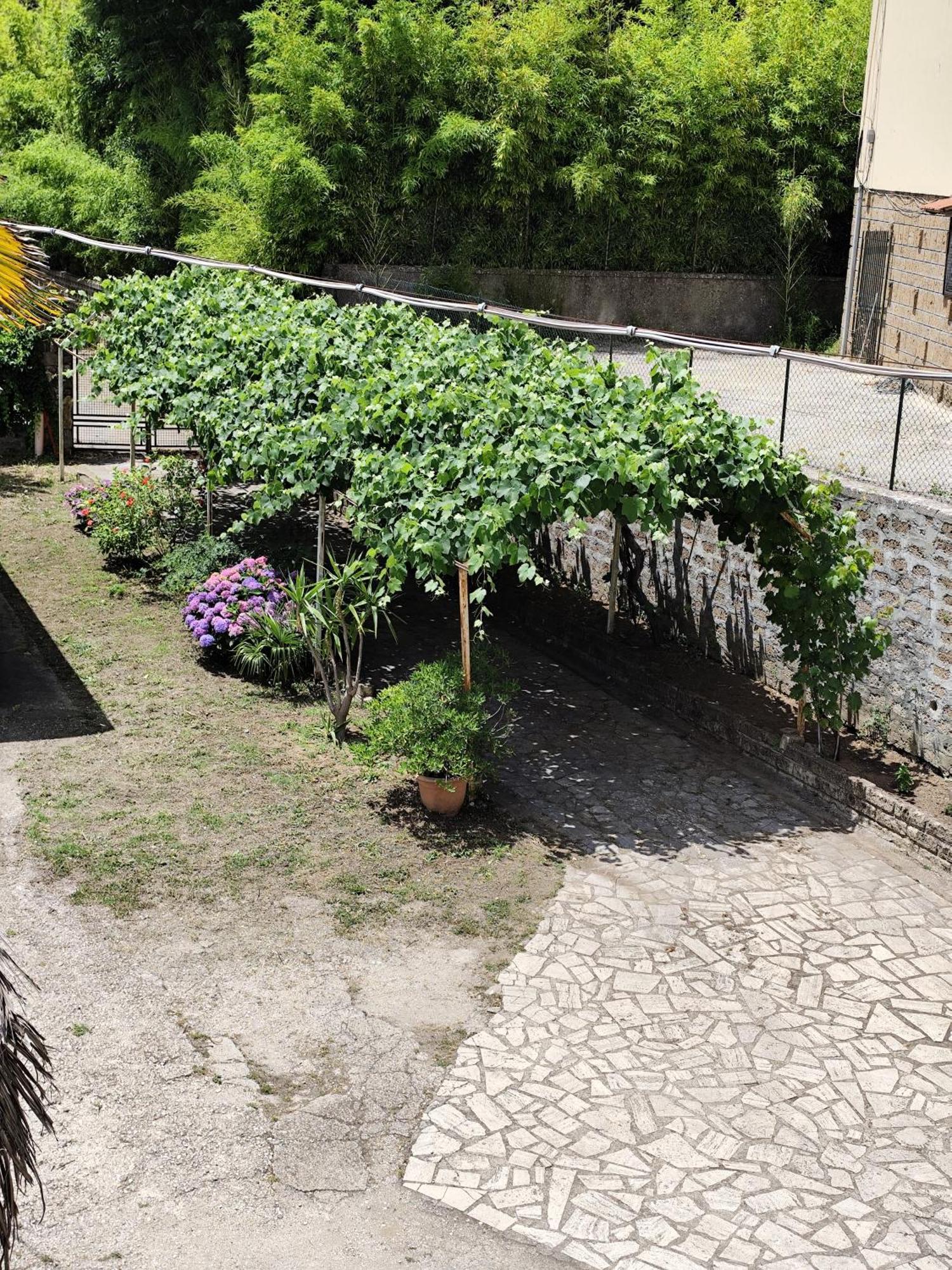 La Casina Di Karol Apartment Ronciglione  Exterior photo